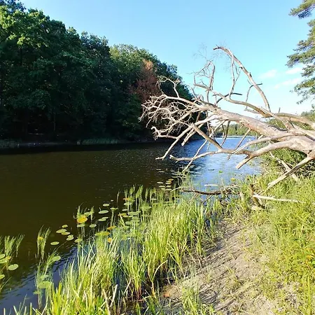 Nad Morzem Дом отдыха Виселка