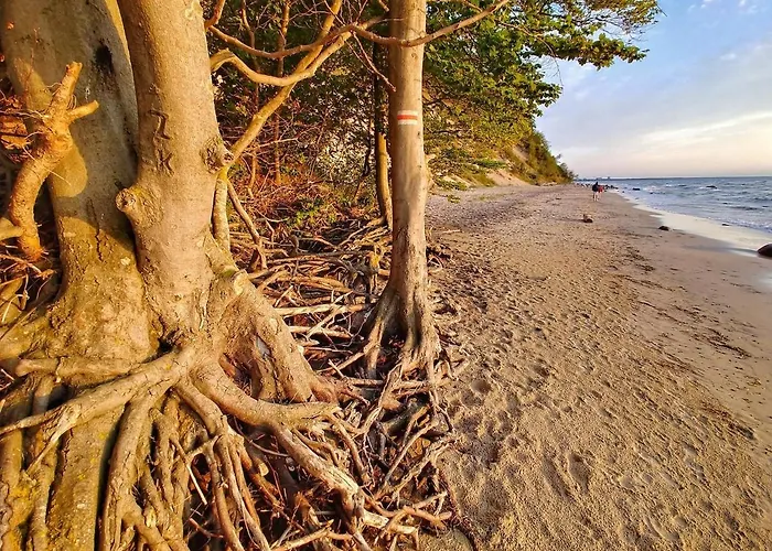 Feriehus Nad Morzem Wisełka